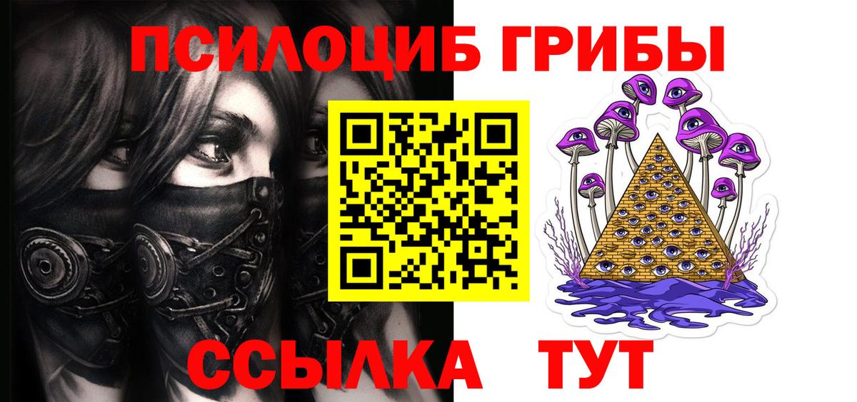 Псилоцибиновые грибы Psilocybe Сосновоборск