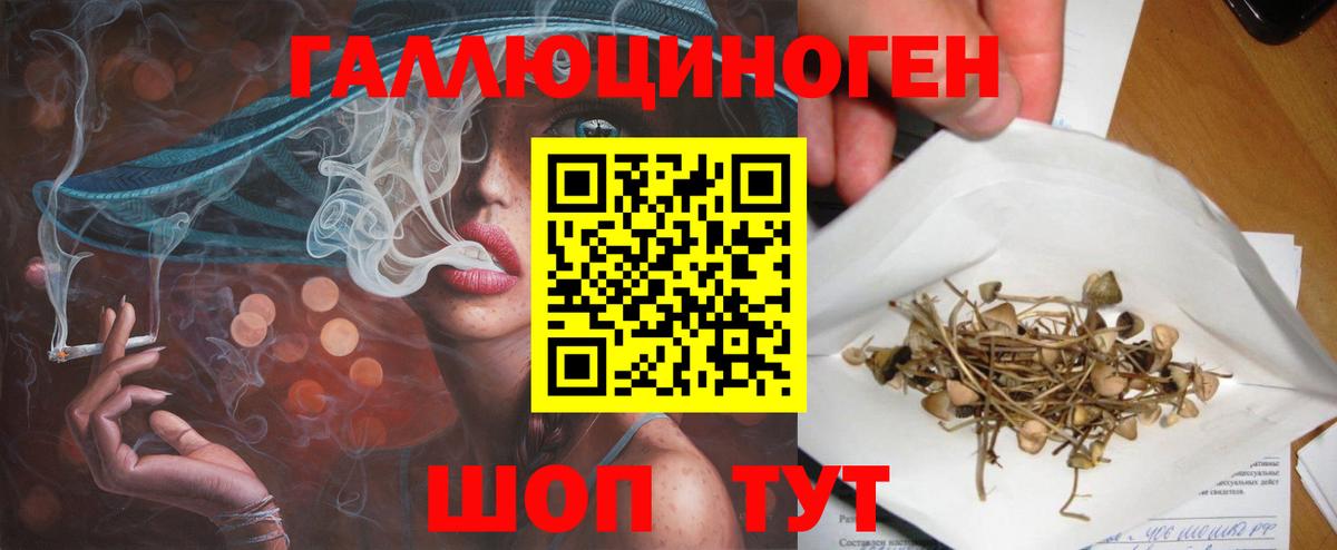 Псилоцибиновые грибы мицелий  Вход с VPN  Сосновоборск 