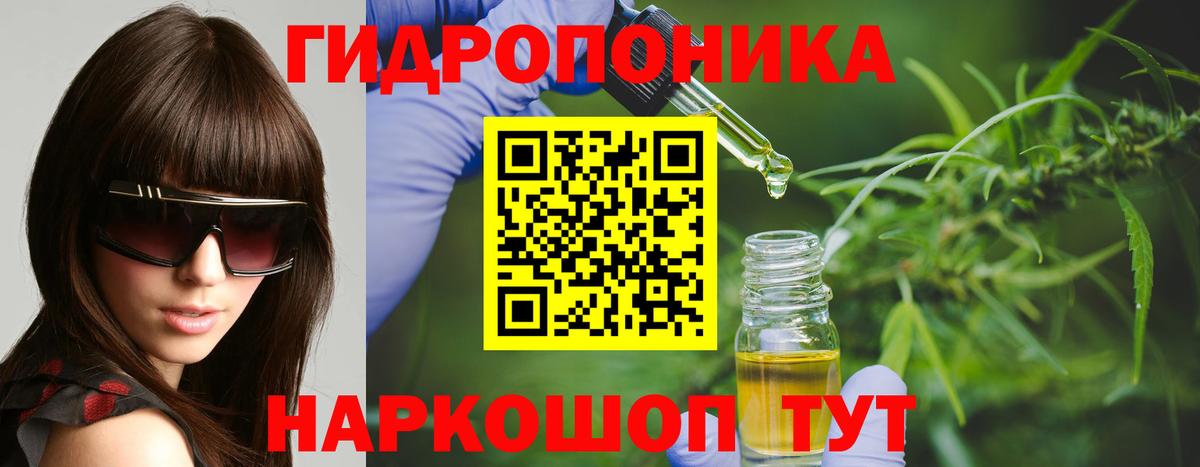 Канабис конопля Сосновоборск